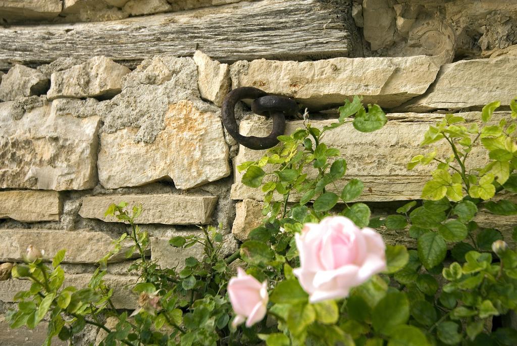 Gasthaus Hameau de Pichovet Vachères Exterior foto